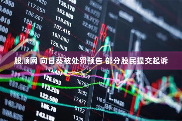 股顺网 向日葵被处罚预告 部分股民提交起诉