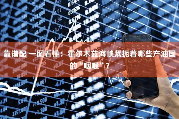 靠谱配 一图看懂：霍尔木兹海峡紧扼着哪些产油国的“咽喉”？