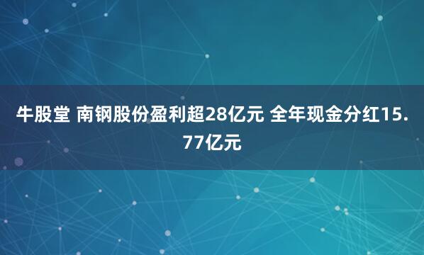 牛股堂 南钢股份盈利超28亿元 全年现金分红15.77亿元