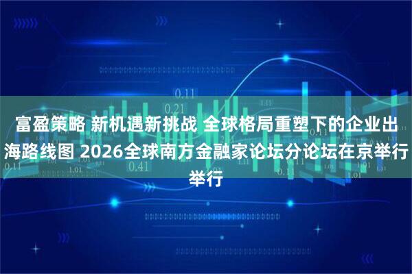 富盈策略 新机遇新挑战 全球格局重塑下的企业出海路线图 2026全球南方金融家论坛分论坛在京举行