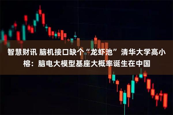 智慧财讯 脑机接口缺个“龙虾池” 清华大学高小榕:脑电大模型基座大概率诞生在中国
