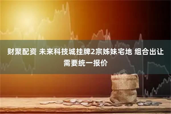 财聚配资 未来科技城挂牌2宗姊妹宅地 组合出让需要统一报价
