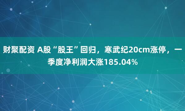 财聚配资 A股“股王”回归，寒武纪20cm涨停，一季度净利润大涨185.04%