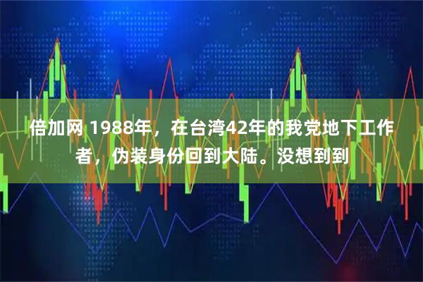 倍加网 1988年，在台湾42年的我党地下工作者，伪装身份回到大陆。没想到到