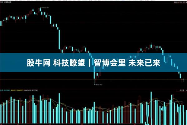 股牛网 科技瞭望｜智博会里 未来已来
