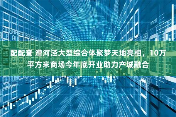 配配查 漕河泾大型综合体聚梦天地亮相，10万平方米商场今年底开业助力产城融合